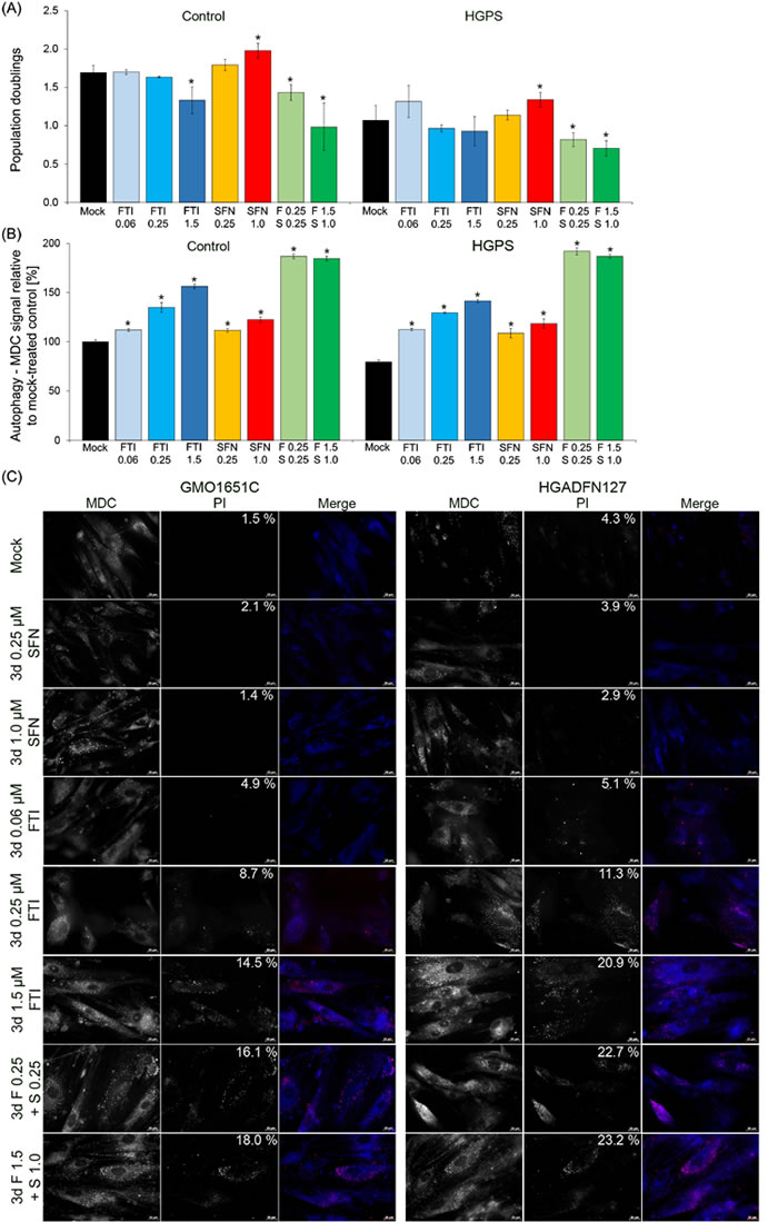 Effect of combined FTI and SFN on HGPS cells.