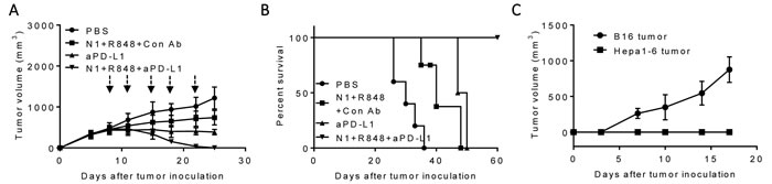 Antitumor effect of a triple combination regimen (HMGN1, R848 and anti-PD-L1) on mice harboring large Hepa1-6 tumors.