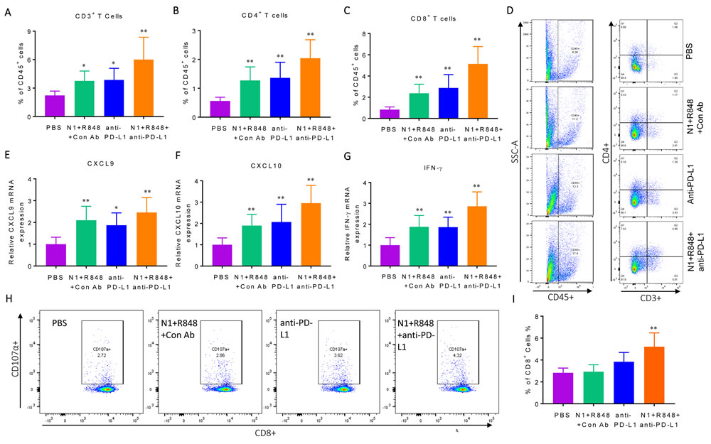 Immunological profiling of Hepa1-6 tumor-bearing mice with various treatments.