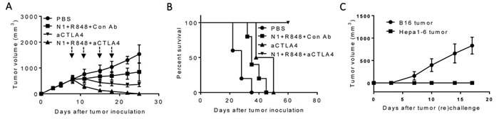 Antitumor effect of a triple combination of HMGN1 (N1), R848 and anti-CTLA4 on mice harboring big Hepa1-6 tumors.