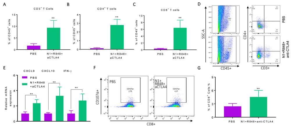 Hepa1-6-bearing mice treated with triple combination of HMGN1, R848, and anti-CTLA4 exhibited elevated antitumor immune responses.