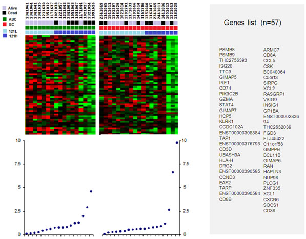 Genes set correlating to low and high levels of VEGF