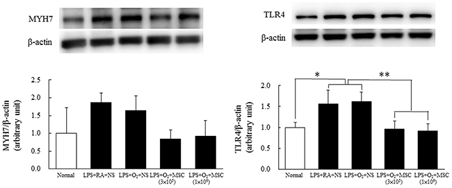 Figure 4: