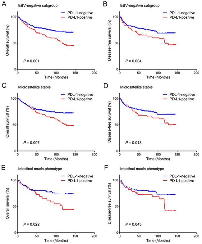 Prognostic impact of PD-L1 expression in gastric cancer according to EBV, MSI status, and mucin phenotype.