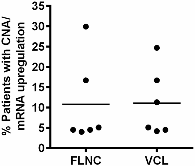 Alterations of FLNC and VCL CNA and mRNA in PCa patients.