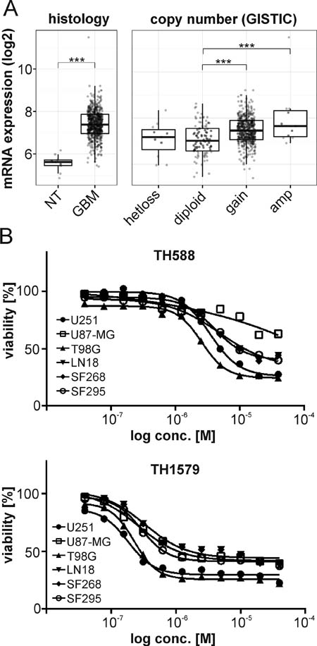 MTH1 is overexpressed in GBM.