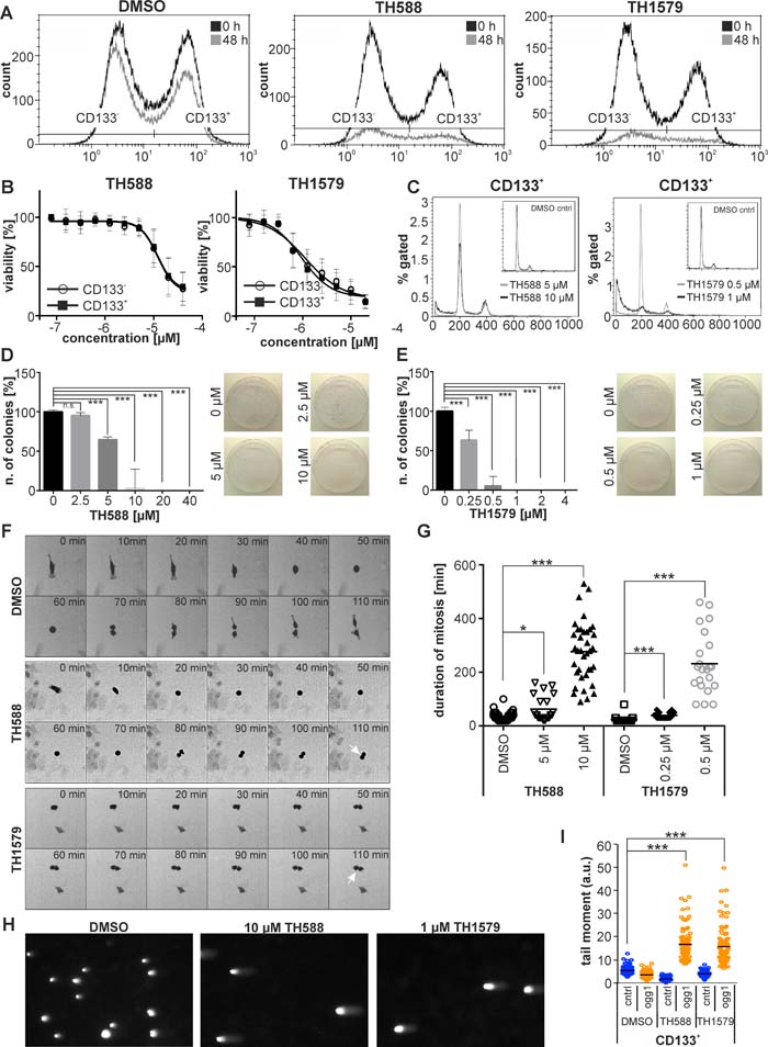 Inhibition of MTH1 targets GBM stem cells.