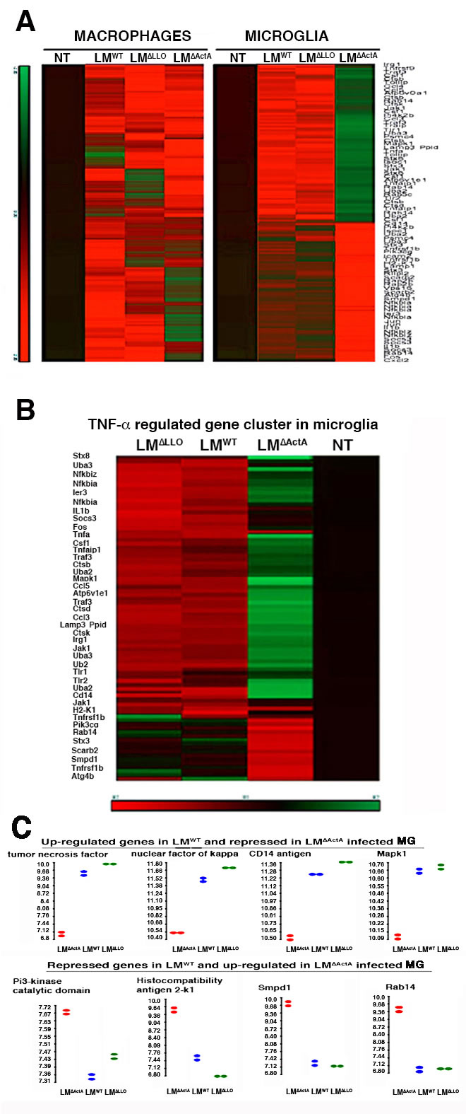 Characterization of early transcriptional program induced by LM
