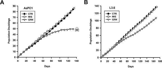 Effects of continuous GRN163L exposure on lifespan.