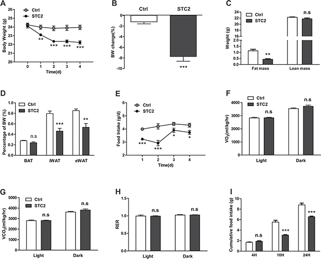 Systemic STC2 treatment reduces appetite and promotes weight loss in C57BL/6 mice.