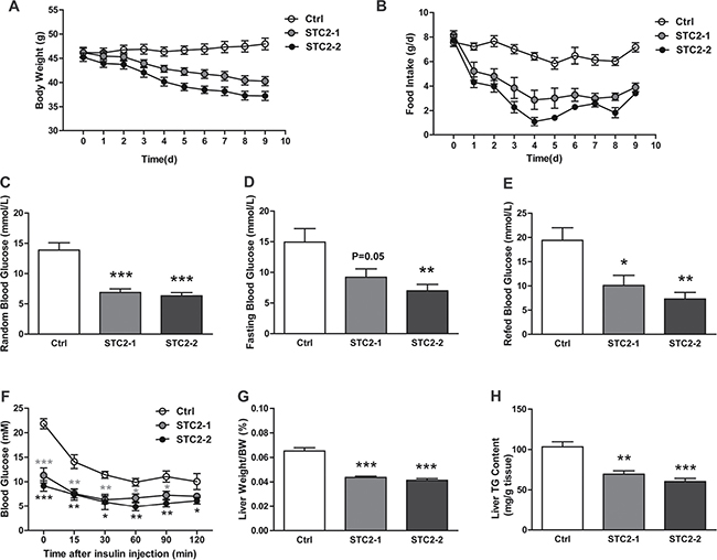 Systemic administration of STC2 reduces appetite and body weight in leptin-defient mice.