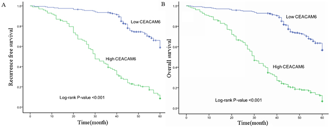 Kaplan-Meier survival curve analysis of patients with gastric cancer positive and negative for CEACAM6 protein expression (log-rank test).