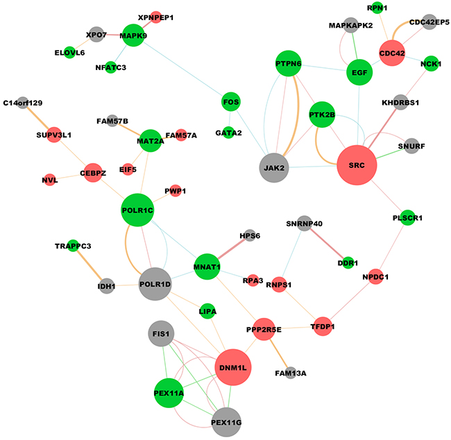 Downstream molecular interaction network regulated by CEACAM6.