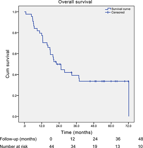 Kaplan-Meier curve of the overall survival of all those esophageal small cell carcinoma patients with surgical resection (median survival time: 22.1 months).