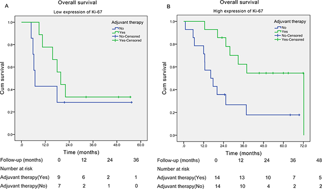 Kaplan-Meier curves of the overall survival of esophageal small cell carcinoma patients with different Ki-67 index stratified by adjuvant therapy.