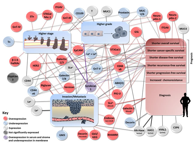 Figure 7: