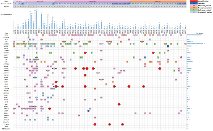 Summary of somatic mutations in 107 gastric cancer samples according to molecular subtype.