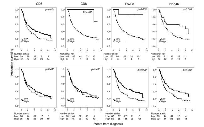Kaplan-Meier analysis of overall survival in strata according to high and low total density of CD3+, CD8+, FoxP3+ and NKp46+ cells in the entire cohort, defined by CRT analysis (top row) and using the median value as cutoff (bottom row).