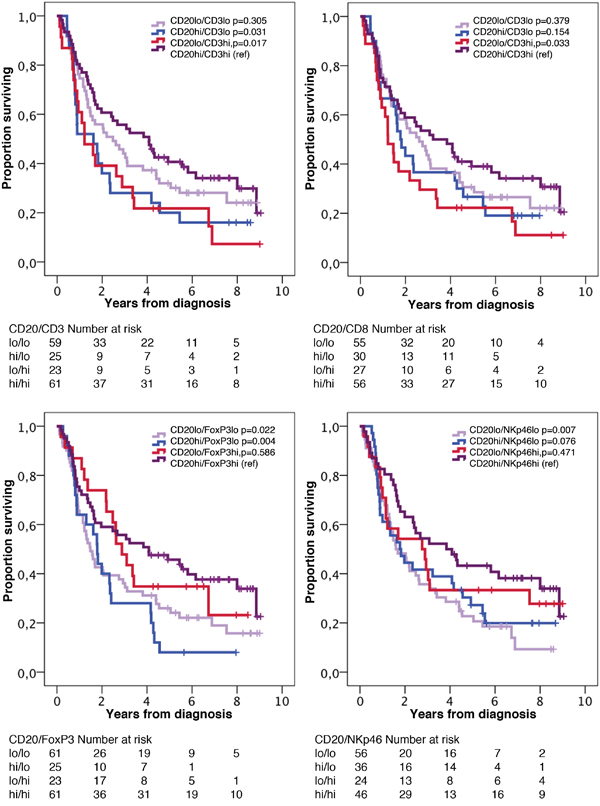 Kaplan-Meier estimates of overall survival in strata according to combinations of high and low density of CD20+ cells and CD3+, CD8+, FoxP3+ and NKp46+ cells, respectively, in the entire cohort.