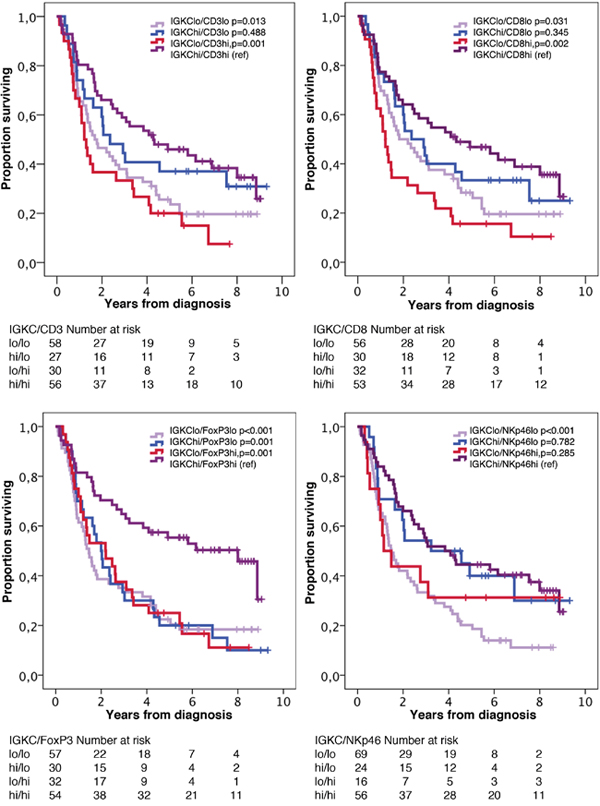 Kaplan-Meier estimates of overall survival in strata according to combinations of high and low density of IGKC+ cells and CD3+, CD8+, FoxP3+ and NKp46+ cells, respectively, in the entire cohort.