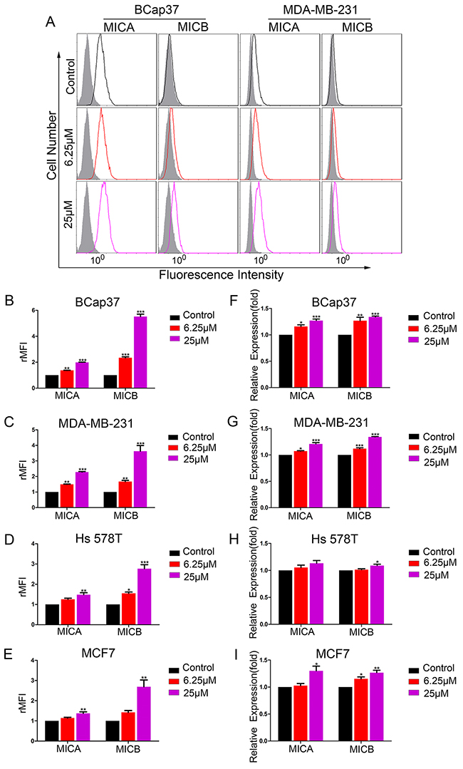 Resveratrol upregulates MICA and MICB expression in breast cancer cells in vitro.