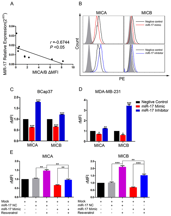 MiR-17 downregulates MICA and MICB expression, which can be blocked by resveratrol.