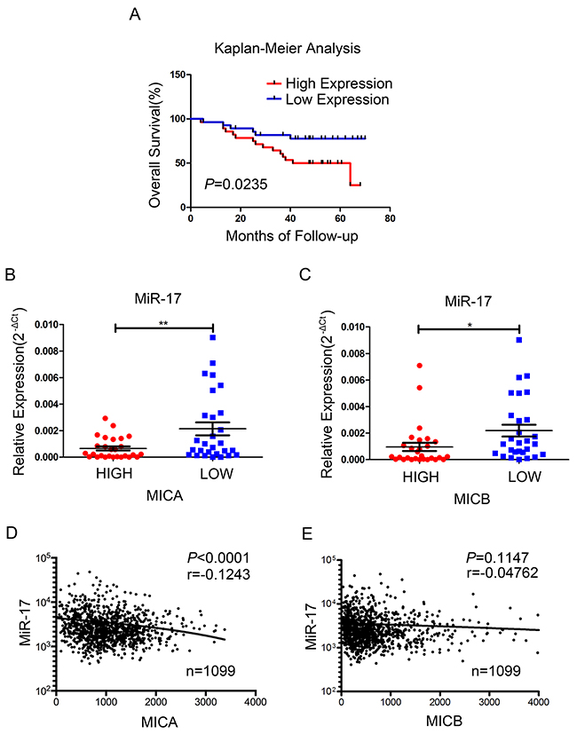 Association of miR-17 with the expression of MICA/B and survival in human breast cancer.