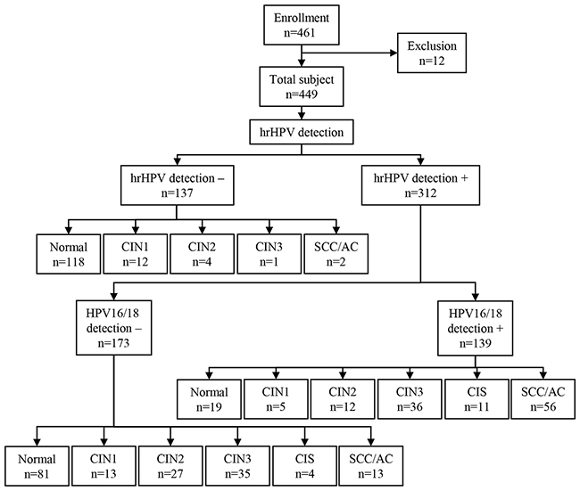 Study flow chart from enrollment to hrHPV outcome.