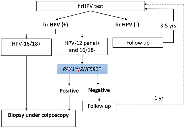 Proposed cervical cancer screening strategy using the hrHPV assay as a primary screening tool and testing for HPV-16/18 and methylation of PAX1/ZNF582 as reflex triage tests.
