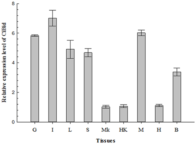 qRT-PCR analysis of the expression level of CiBid in different tissues of grass carp.