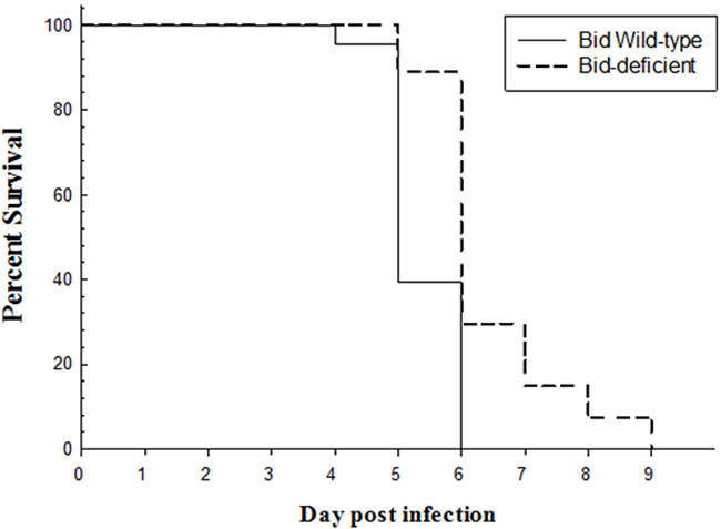 Survival curve of Bid-deficient and wild-type rare minnow after GCRV infection.