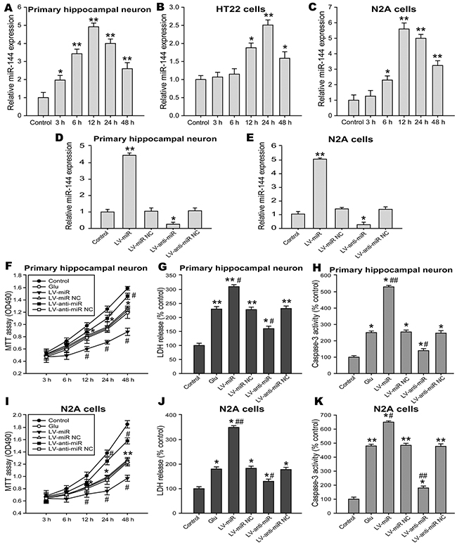 Effects of miR-144 on glutamate-induced neuron injury in vitro.