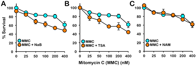 Inhibition of class I and II HDACs sensitizes cells to the cytotoxic effects of mitomycin C.