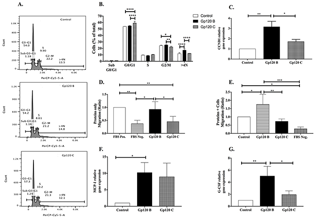 HIV-1 gp120 B stimulates cell proliferation and migration while HIV-1 gp120 C induces G0/G1 cell cycle arrest.