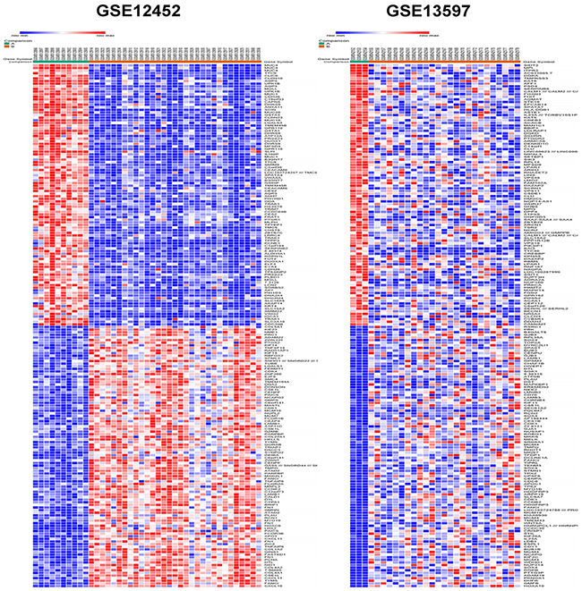 Heat map of the top 200 differentially expressed genes of GSE12452 and GSE13597 (100 up-regulated genes and 100 down-regulated genes).