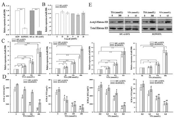 Histone deacetylase inhibitors (Trichostatin A, TSA, and valproic acid, VPA) elevate the expression of miR-200b and reverse chemoresistance of docetaxel-resistant LAD cells.