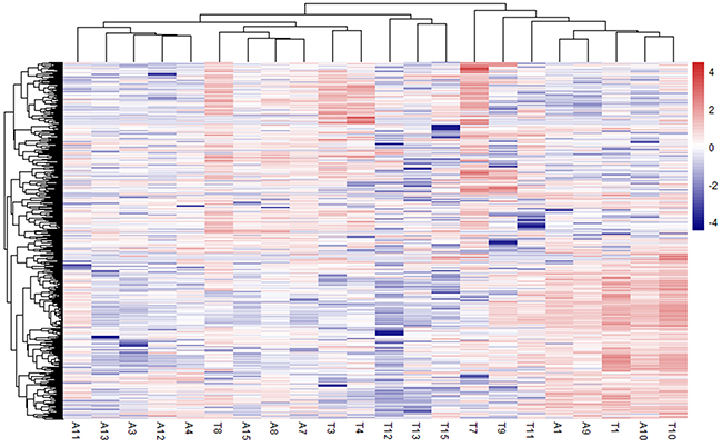 Heatmap showing significantly differentially expressed protein-coding genes among 11 paired HCC and adjacent non-cancerous tissue.
