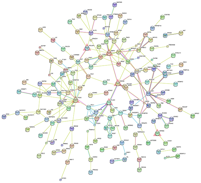 PPI network of significantly upregulated protein-coding genes. The nodes represent the significantly upregulated protein-coding genes.