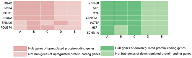 Distribution of hub genes among the significantly upregulated and downregulated protein-coding genes identified by five types of centrality.