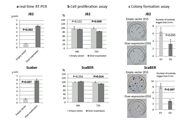 Figure 3: