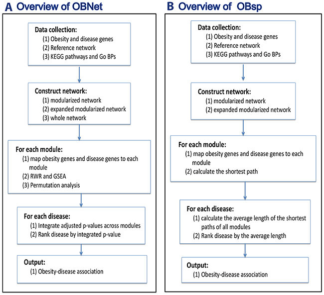 An overview of (A) OBNet and (B) OBsp.