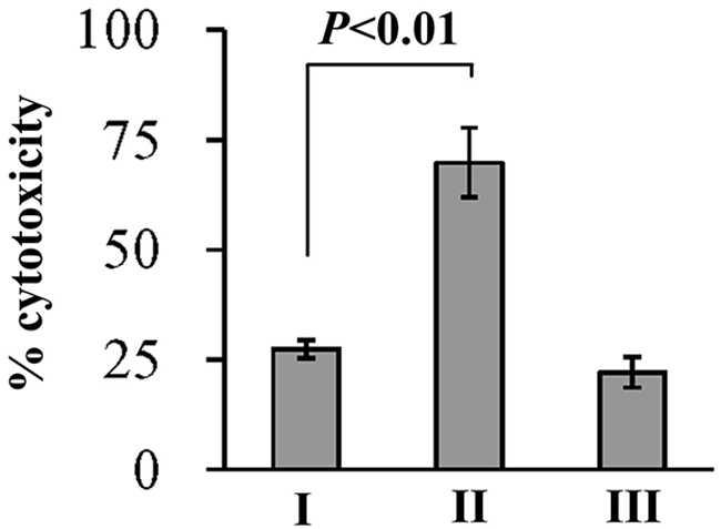 Cytotoxicity against HeLa cells of V. parahaemolyticus strains.