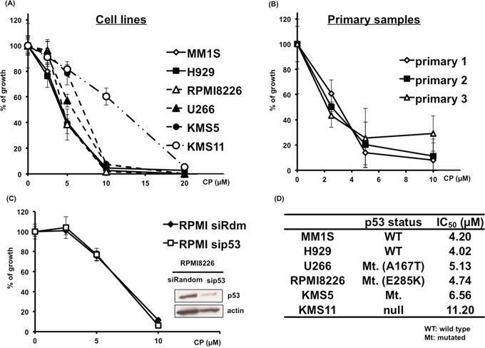 CP inhibits the proliferation of cultured MM cells.