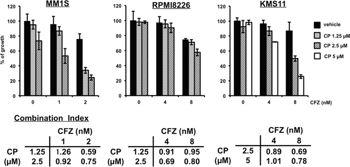 CP combined with CFZ inhibits the proliferation of cultured MM cells synergistically.