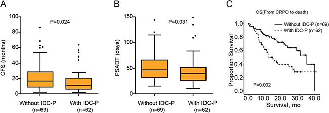 Differences of CFS, PSADT and OS between IDC-P(+) and IDC-P(&#x2013;) patients.