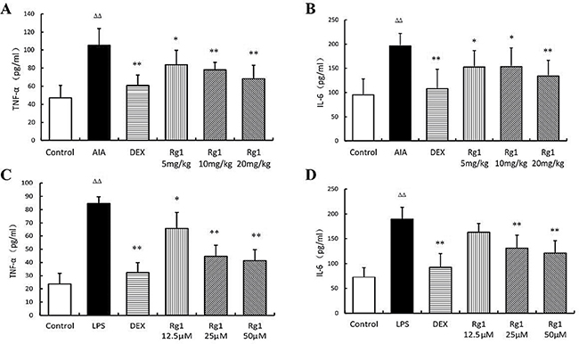 Effects of Rg1 on TNF-&#x03B1; and IL-6 levels in vivo and in vitro.