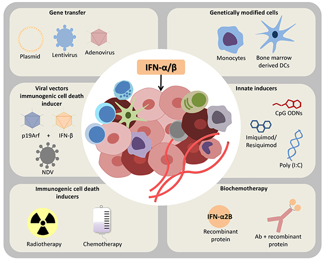Harnessing type I interferons in cancer therapy.