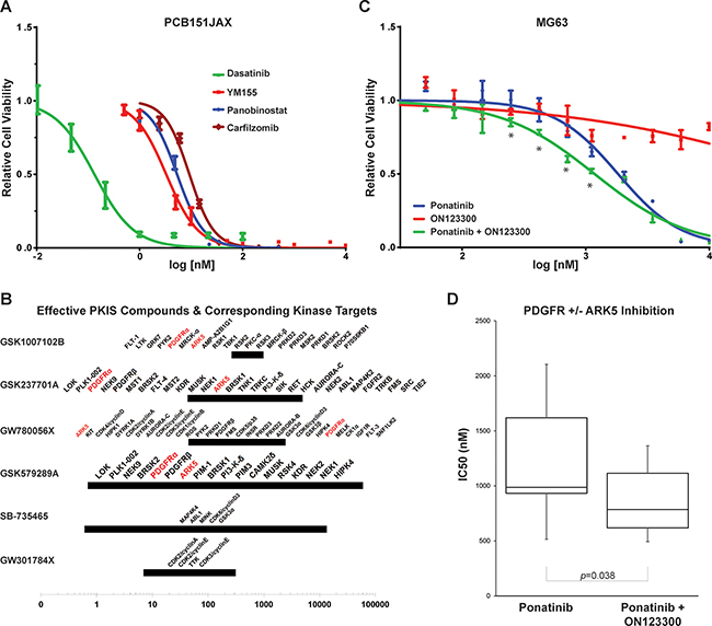In vitro sensitivities of PCB151JAX and in vitro effect of ARK5 inhibition in osteosarcoma cell lines.