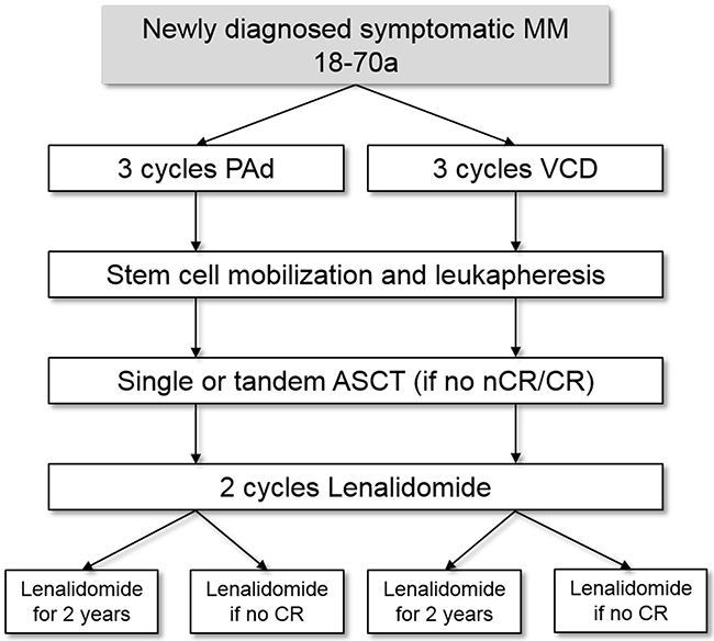 Treatment protocol of the GMMG MM5 study.