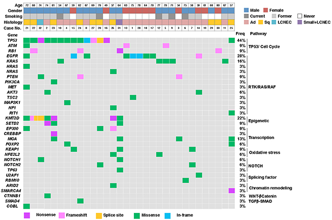 Lung cancer mutation profiles.
